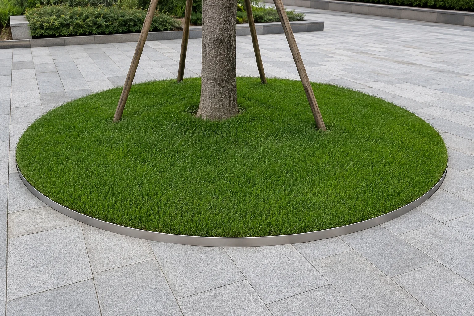 Stainless steel landscape edging forming a circular tree ring beside stone paving